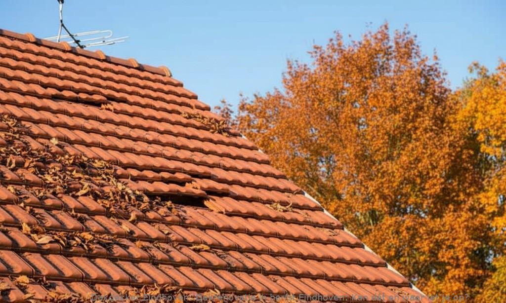 Dakrenovatie In Herfst Eindhoven
