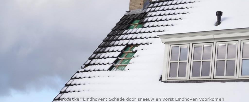 Schade Door Sneeuw En Vorst Eindhoven